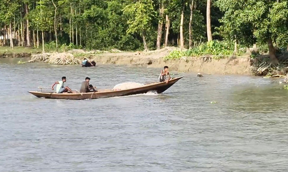 গলাচিপায় ইলিশ শিকার বন্ধে অভিযান, তবু চলছে কেনাবেচা
