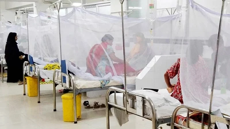 ডেঙ্গুতে ২৪ ঘণ্টায় ১০ জনের মৃত্যু, হাসপাতালে ভর্তি ১ হাজার ৯৪৩